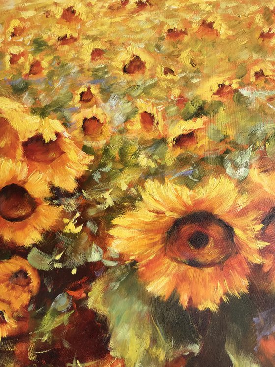 Sunflowers