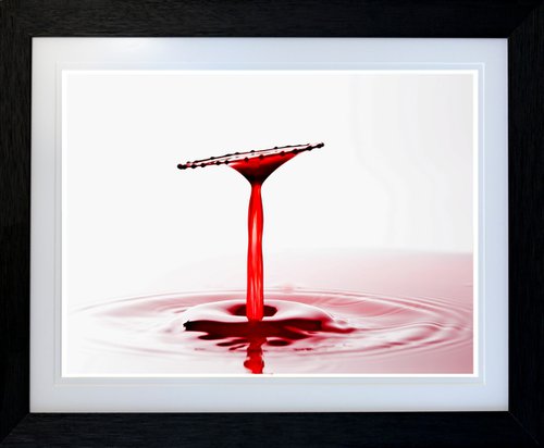 'Crimson Chalice' - Liquid Art by Michael McHugh