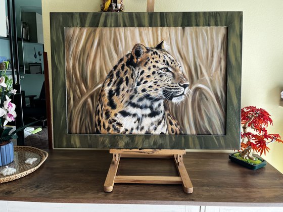 The Silent Watcher: Amur Leopard