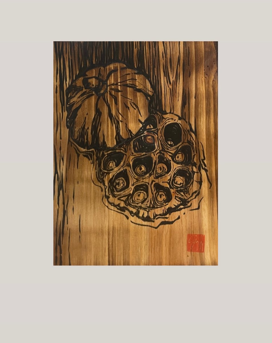 Graphic Botanical Ink Drawing By Guzel Min, 6 X 8, Lotus Pods, Original Artwork