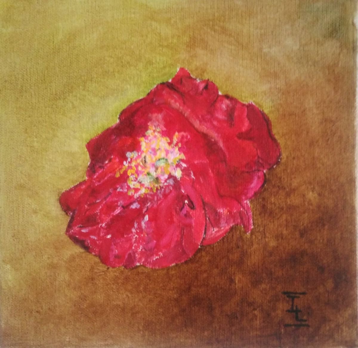 the red peony by Isabelle Lucas