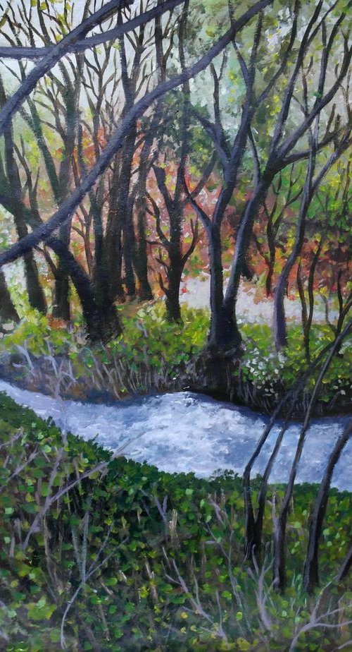 Cot Valley Stream, St Just. by Tim Treagust