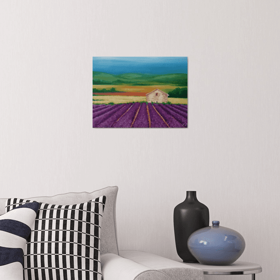 Lavender field