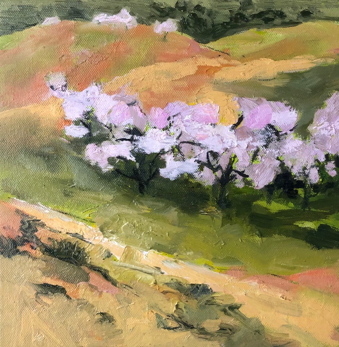 Blossom Plain by Joanna Farrow