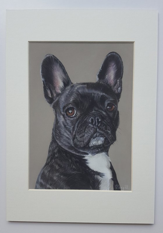 French Bulldog commission