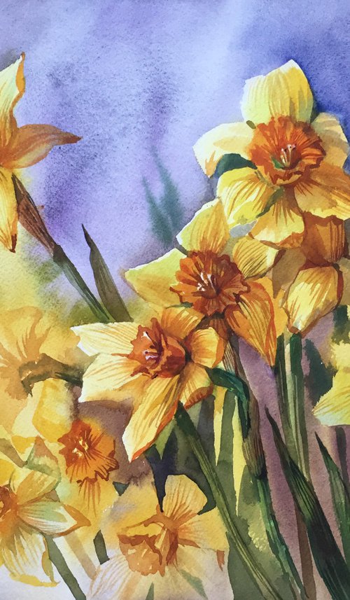 Bouquet of daffodils. Spring flowers. Botanical painting. by Natalia Veyner