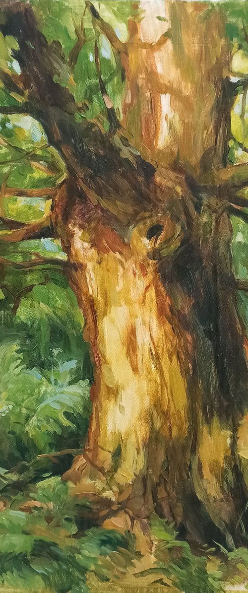 The Biggest Oak by Elena Utkina