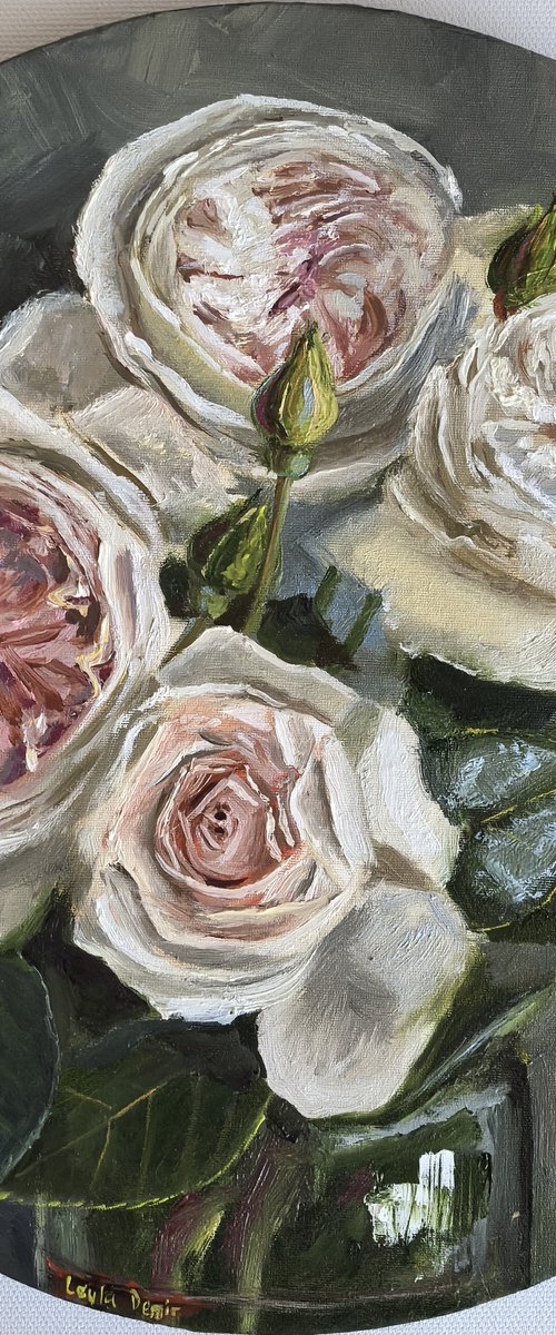 Pink roses round still life by Leyla Demir
