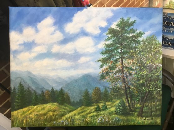 TENNESSEE TRAIL by K. McDermott oil 22X28  (ON HOLD)