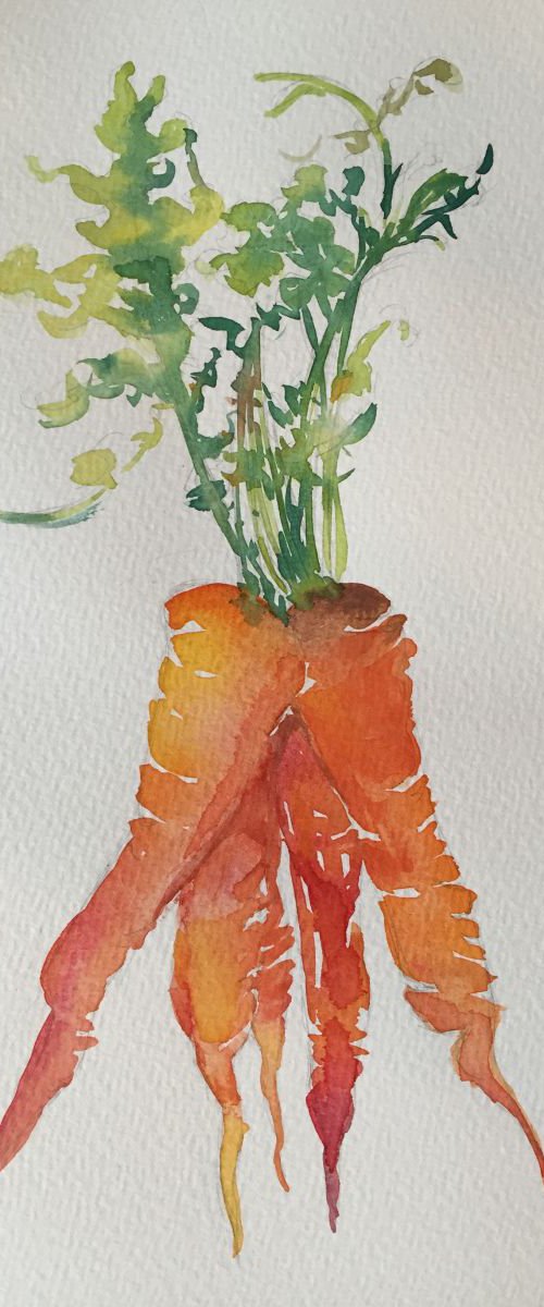 Carrots by Jing Chen