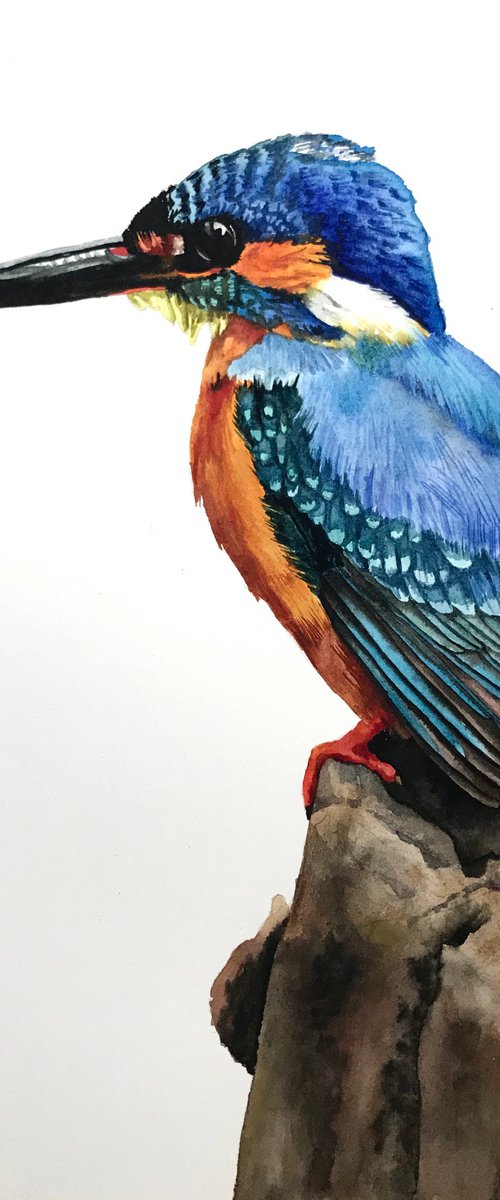Kingfisher by Lisa Lennon