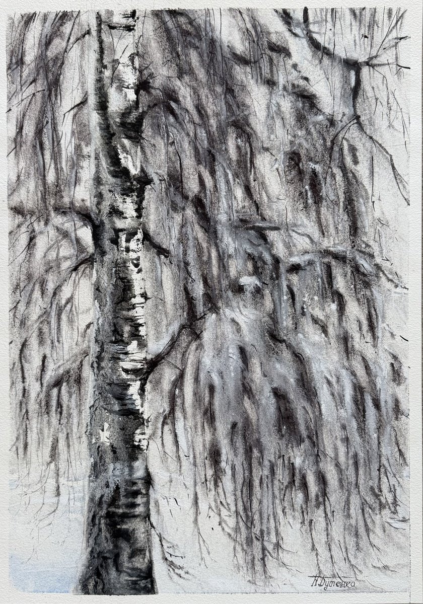Illustrative Watercolour , Silence Of The Birch Branches By Natalia Butenko, 14 X 20, Artwork For Sale On Artfinder