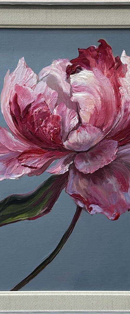 Pink miracle. Peony. by Larisa Batenkova