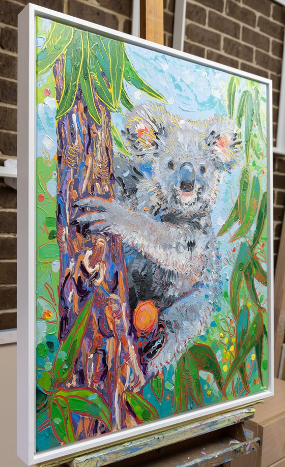 Koala