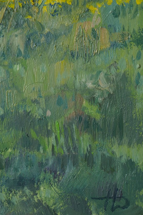The Sunny Birch Forest