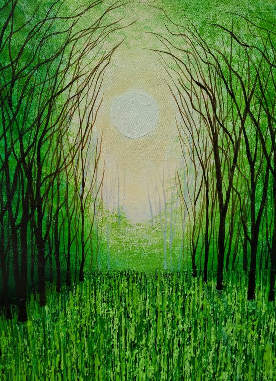 Tanglewood and Evergreen