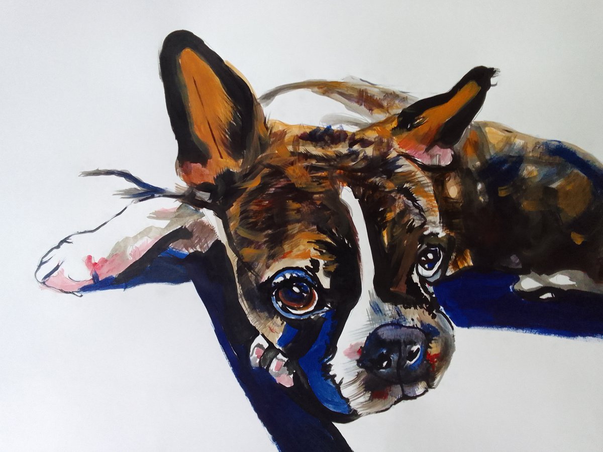 Photorealistic Animal Acrylic Painting By Soso Kumsiashvili, 33 X 24", Boston Terrier, Original Artwork