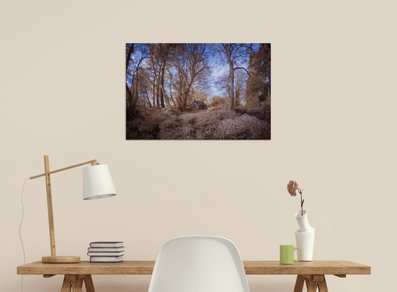 The Hut in the woods