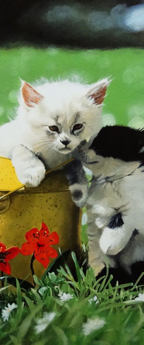 Kittens by Julian Wheat