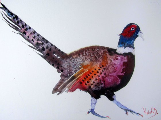 The Pheasant