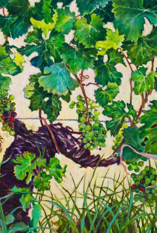 The Vine by Liudmila Pisliakova