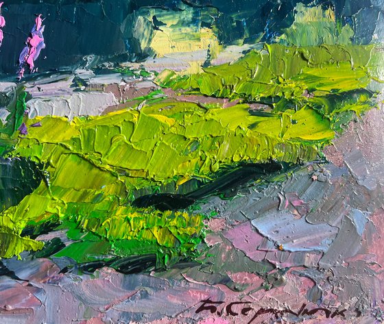 Near the Summer River