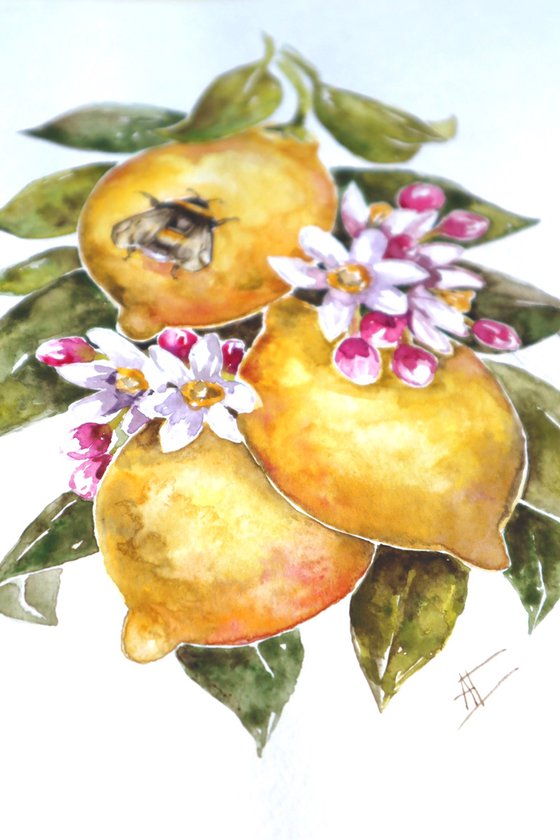 Watercolor lemons and bee illustration with pink flowers and green leaves