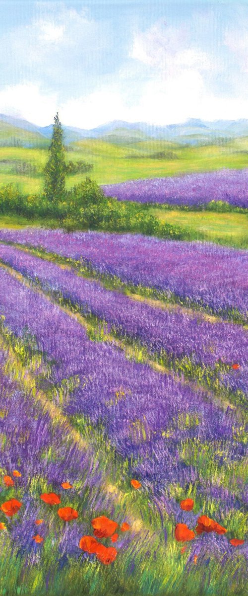 Purple lavender by Ludmilla Ukrow