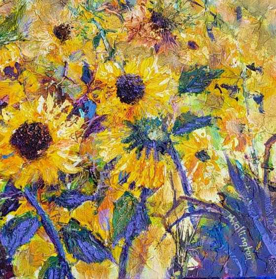 Sunflower Field