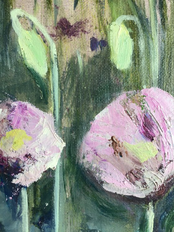 Purple Poppies