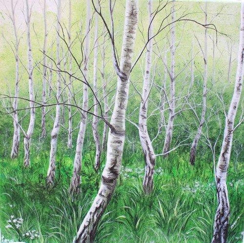 Tranquility - silver birch trees by Jadu Sheridan