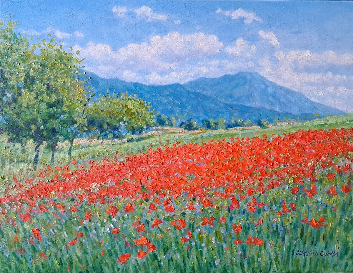 Impressionistic Botanical Oil Painting By Claudio Ciardi, 16 X 12, Field Of Poppies In Provence, Original Artwork