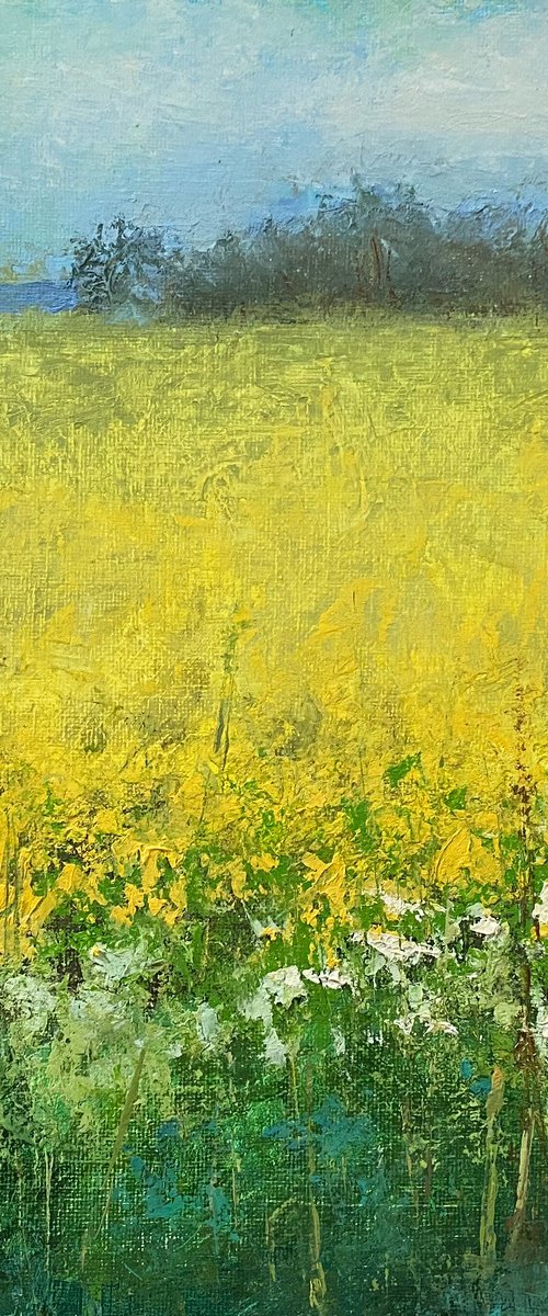 Spring Field by Ling Strube