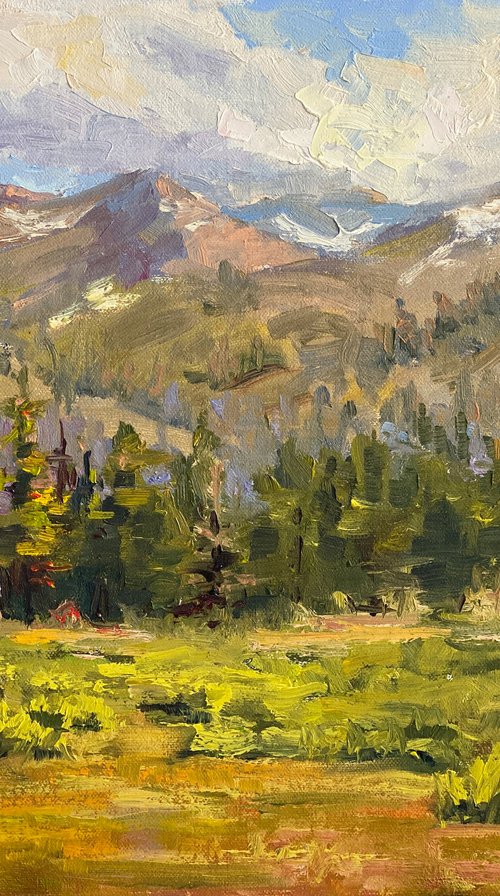 Hope Valley Colors Plein Air Landscape by Tatyana Fogarty