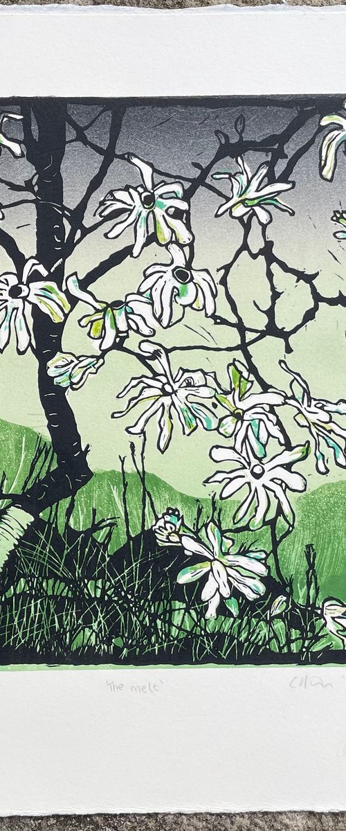 The Melt - Magnolia Linocut by C Staunton