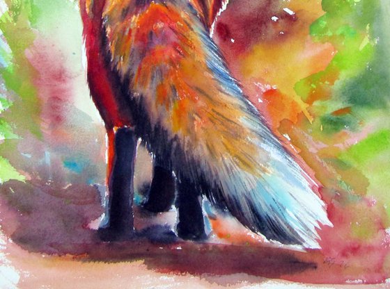 Red fox III