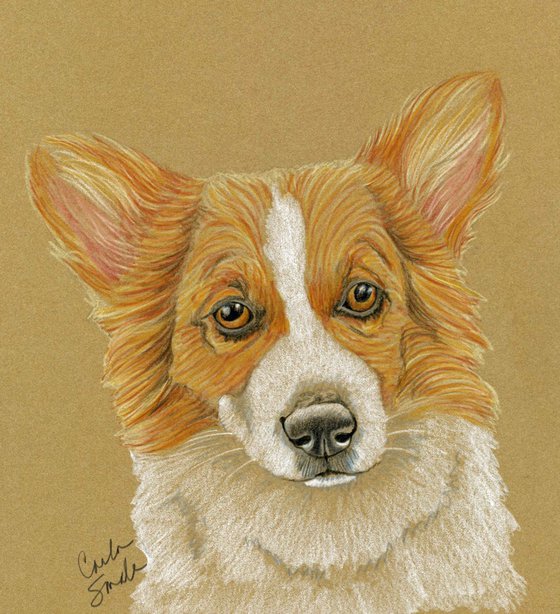 Pet Dog Welsh Corgi Art Original Drawing-Carla Smale