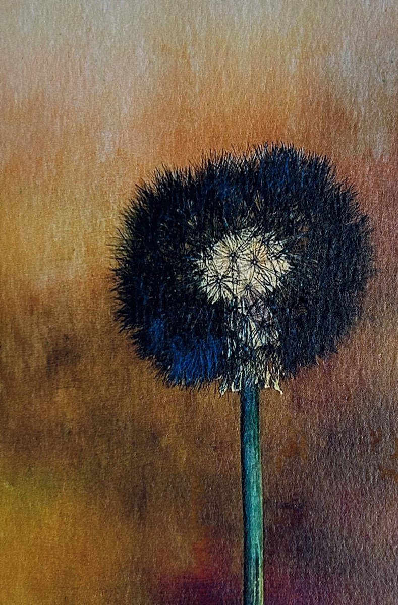 ABSTRACT SEED HEAD by SARAH PARSONS