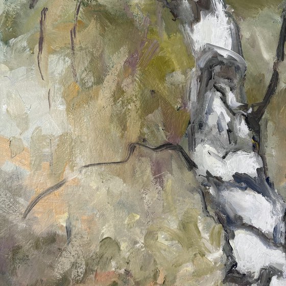 Birch Forest 2