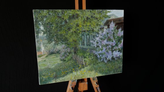 Blooming Lilacs