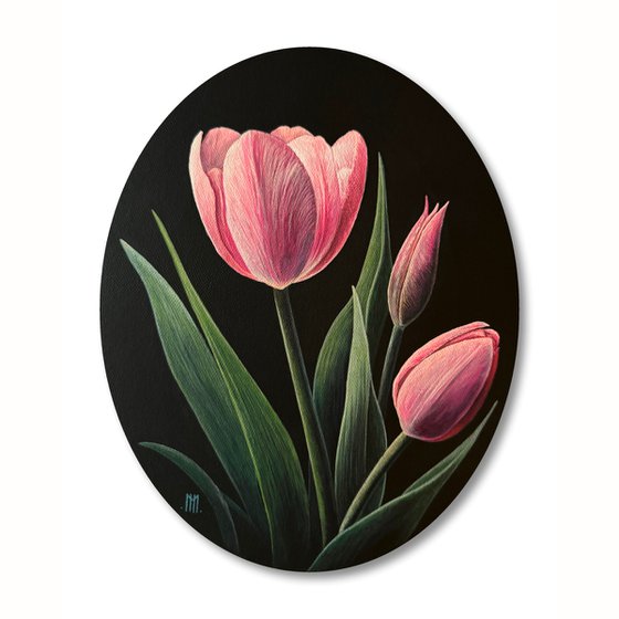 Tulipa Rosacea (Pink Tulips)