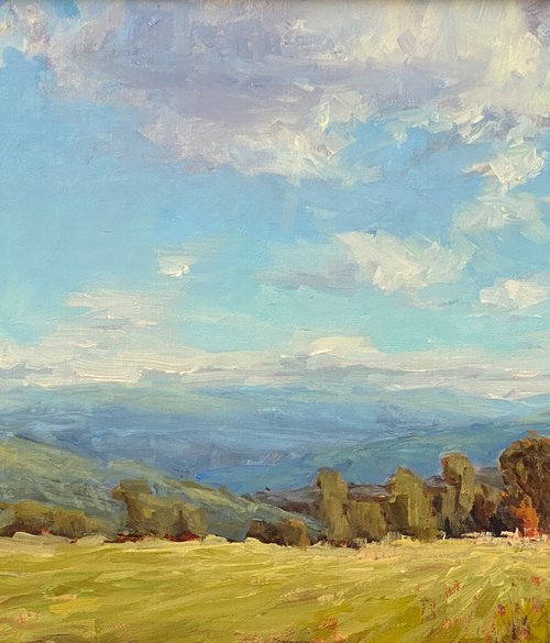 Wide Open Spaces Landscape by Tatyana Fogarty