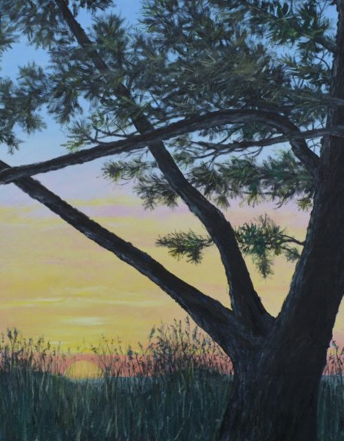 Ocean Pines - XXX Large 31X56 oil by Kathleen McDermott