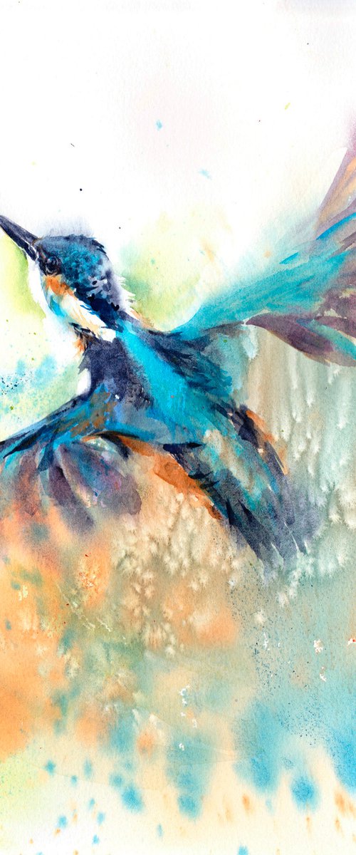 Kingfisher in flight by Anjana Cawdell