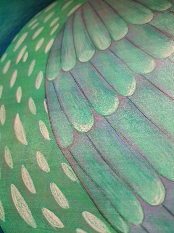 Sleeping bird