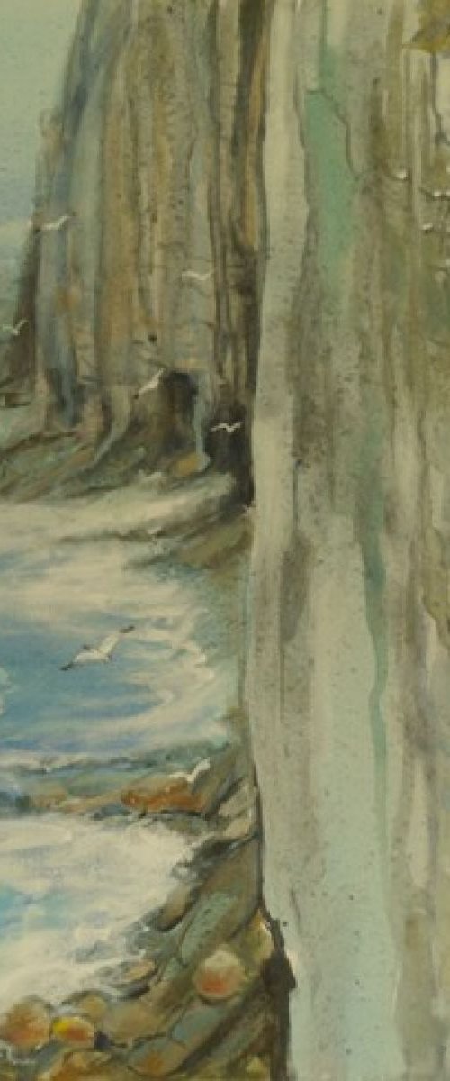 Bempton Cliffs and birds by Jean  Luce