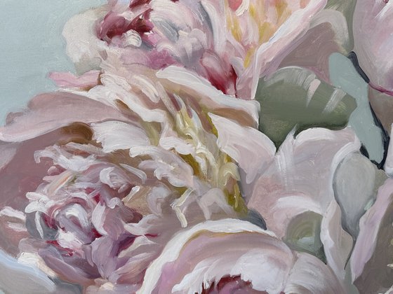 Peonies in bloom