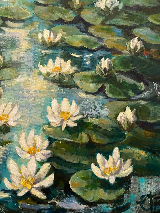 Lilly pond no6