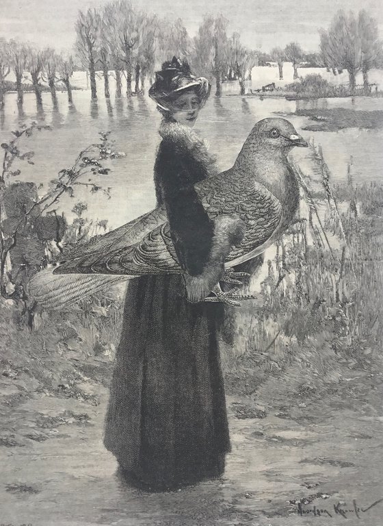 Pigeon Companion