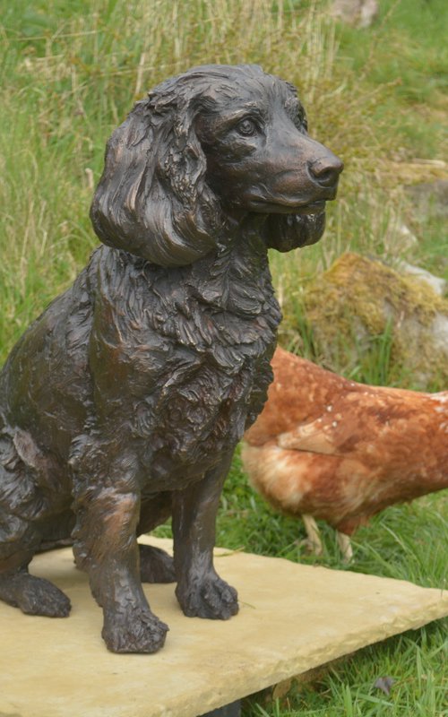 Working Spaniel FB by Tanya Russell